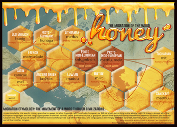 Migration of Honey Map